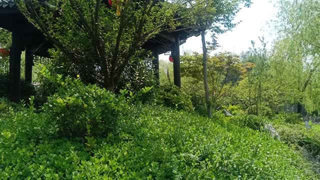 The pavilion is surrounded by vegetation