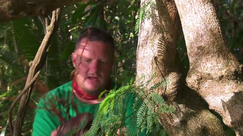 Robinson S19E01