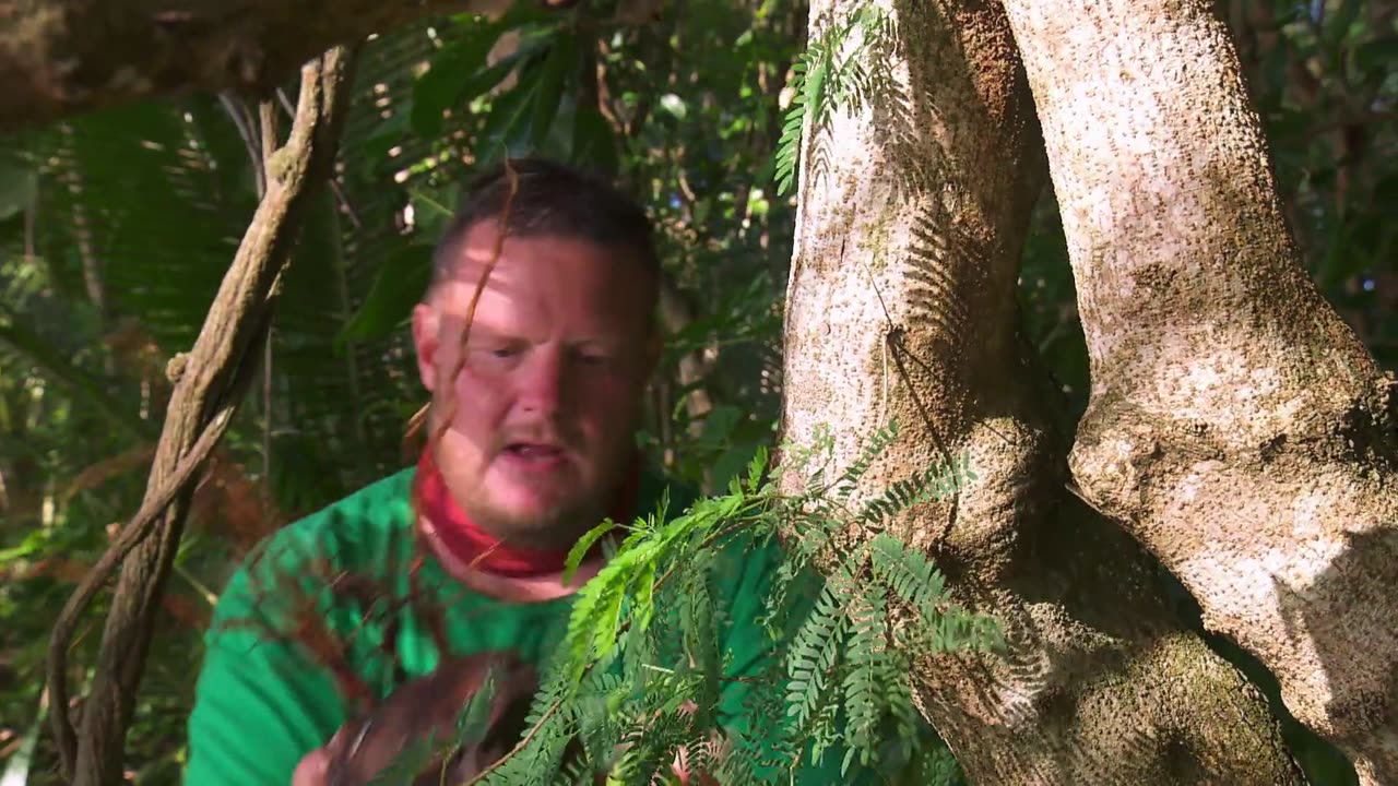 Robinson S19E01