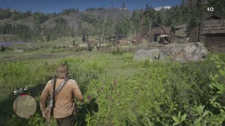 RDR walkthrough, Mrs Sadie Adler widow II