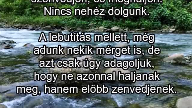 Ahogy a magukat kiválasztottaknak tartó nép gondolkodik a birkákról