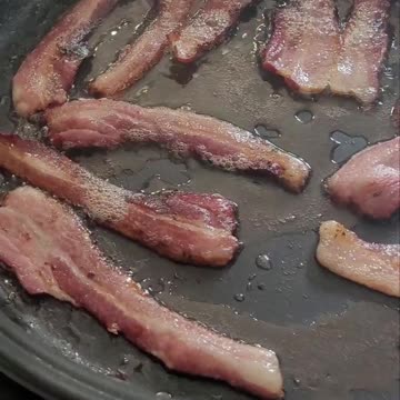 Bacon