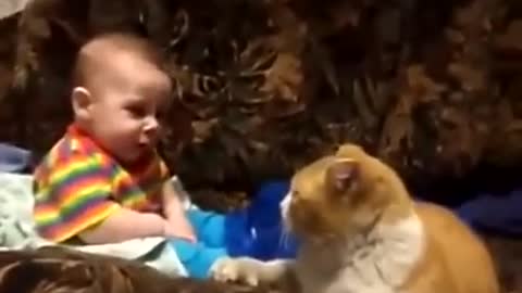 Cat fight with little children