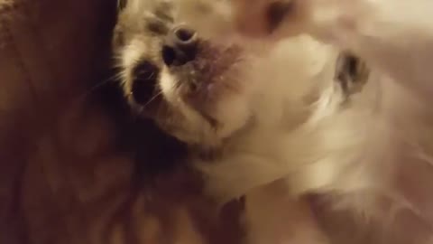 “Don't get any cuter than this!