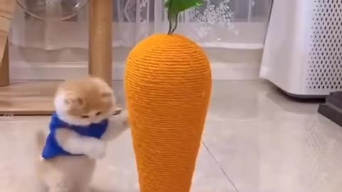 I want to escape to Happy Planet with you