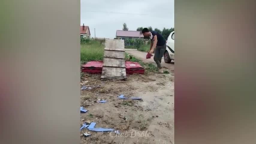 Funny cat video clips