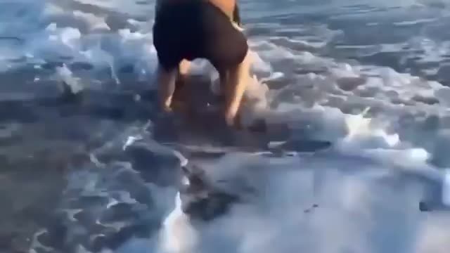 Man saves baby dolphin 🐬