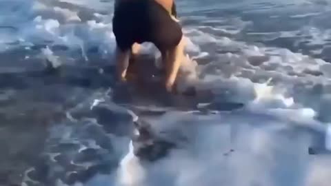 Man saves baby dolphin 🐬