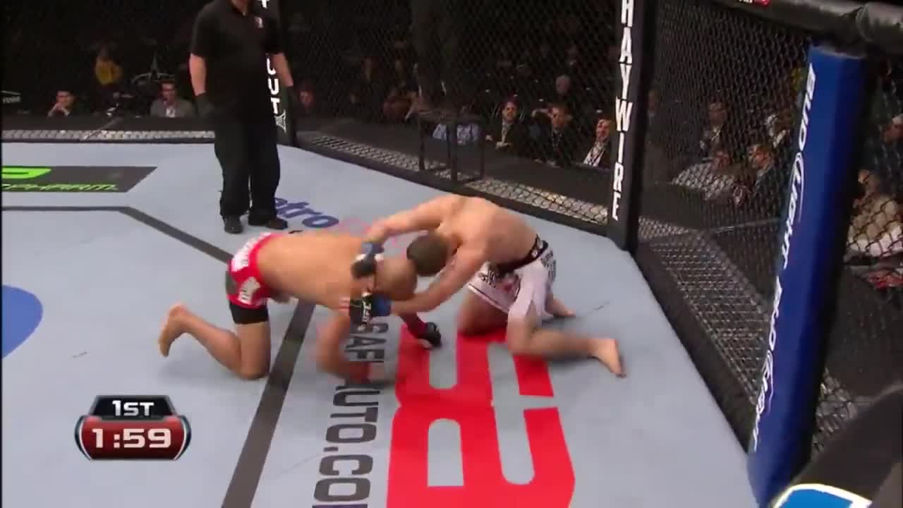 UFC & MMA BEST KNOCKOUT VIDEO.UFC