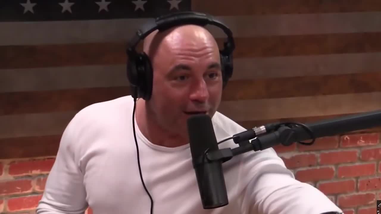 Joe Rogan vs Joe Rogan Smears*
