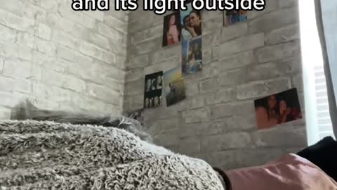 POV when you were scheduled to work at 6 am and its light outside