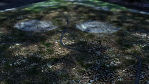 Soulcalibur V - Até onde irei