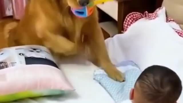 ๐
Funniest Dog Shorts2021๐
click description#shorts#0008