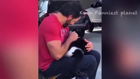 Funny dogs and cats video 2023 4