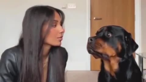 The dog that sits next to his face and puts his tongue in his mouth
