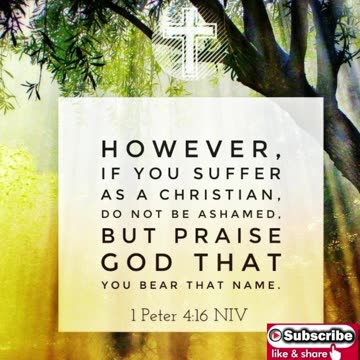 Nighttime Prayer to Glorify God #youtubeshorts #grace #jesus #mercy #faith #fyp #bless #joy #trust