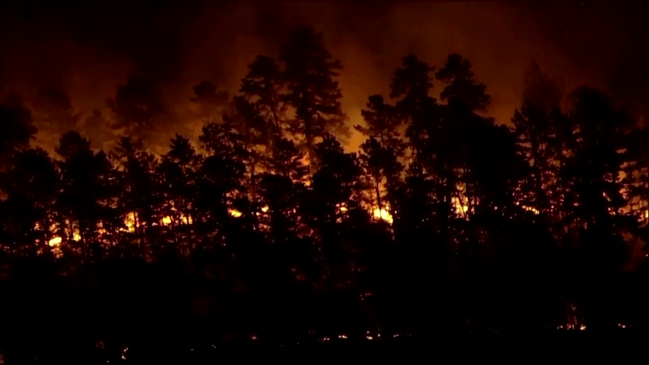 Wildfire burns in New Jersey's Wharton State Forest