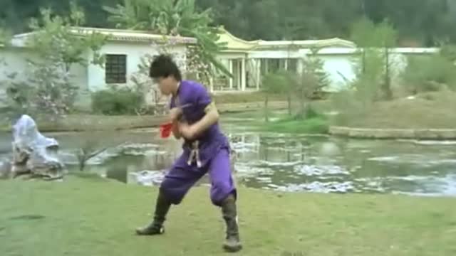 Nine-section whip show real kongfu