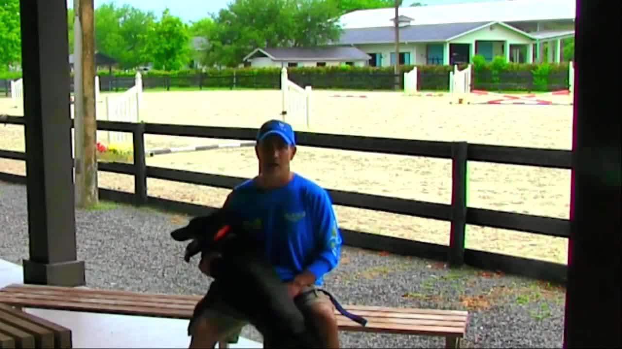 I searched the World for The BEST Dog Trainer to learn from!.mp4