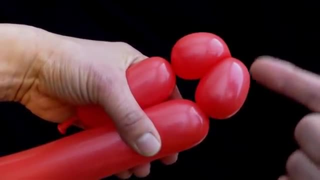 The Beginner's Guide to Making a Dog Balloon Animal