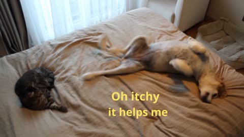 help me to itch