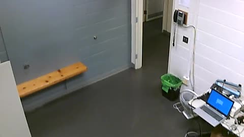 1700HQOB02208ALiveScanRoom_2021-01-06_08h00min02s790ms.mp4