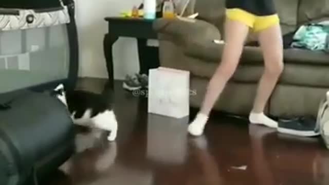 Cat hates owner's mom, repeatedly attacks her