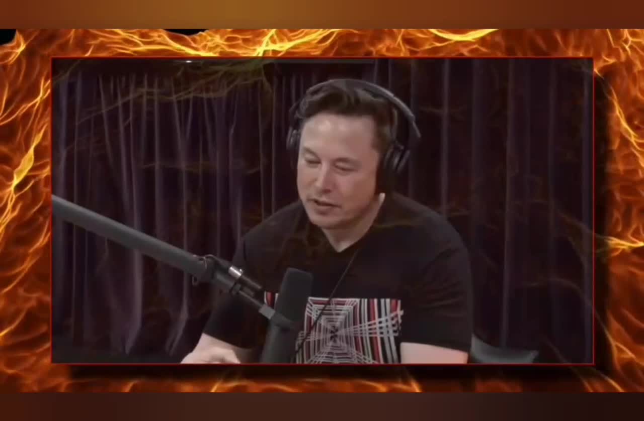 Musk - Elon Musk
