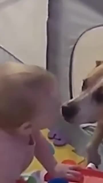 Hillarious pets fail! March edition!