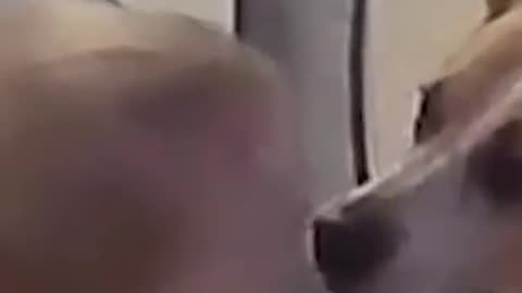 Hillarious pets fail! March edition!