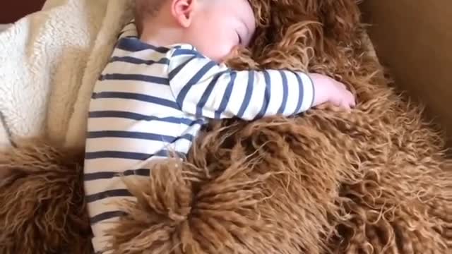 The baby sleeping on the chair with dog