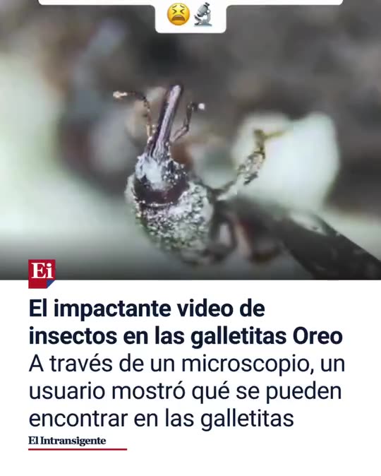 Una Oreo bajo el microscopio 🔬🍪