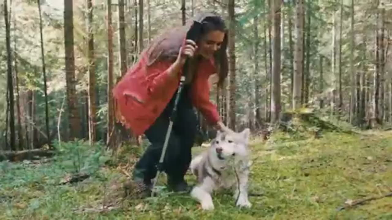 So God made a dog