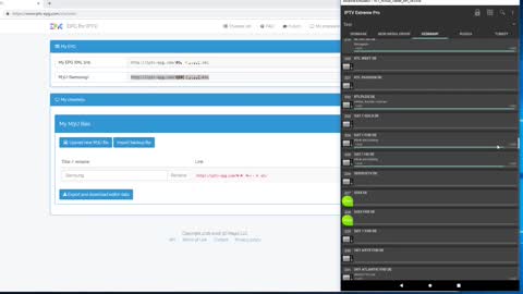How to use best EPG with IPTV Extreme Pro 2022 (110+ Countries ~8000 Channels) 