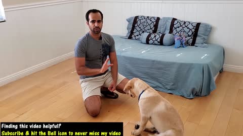 how to train your puppy to sit