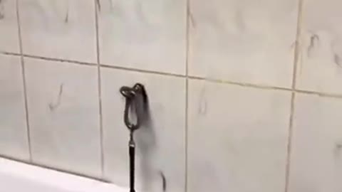 Bigfoot took a shower in there ?