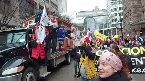 Toronto Freedom! March 19