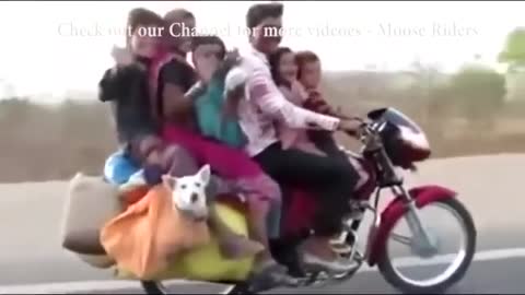 Funny animal videos 2021 Funny videos people top funny video best funny videos funnyvideos (15)