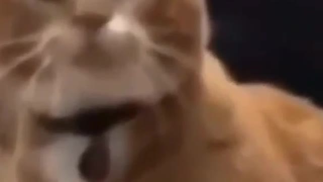 strange bubble