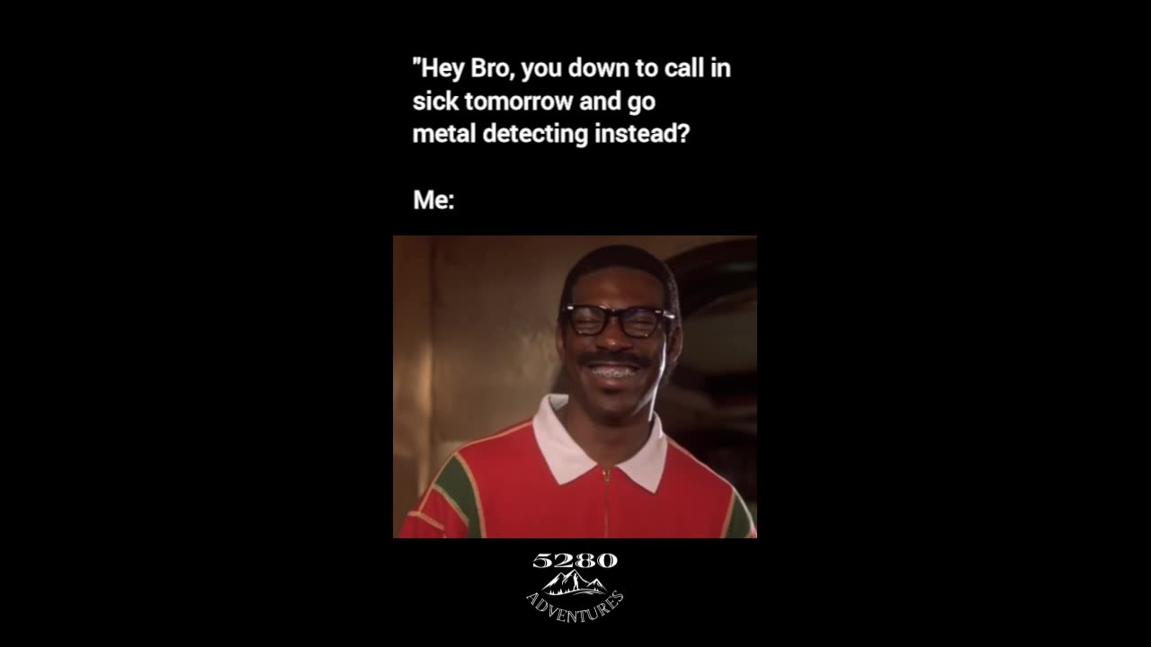 Do you want to go Metal Detecting?