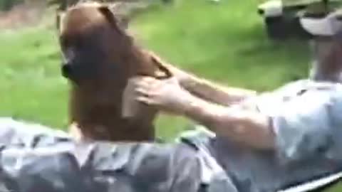 1 MINUTE! # 23 _ Dog Lovers _ 🤣 SHORT & FUNNY Videos #Shorts