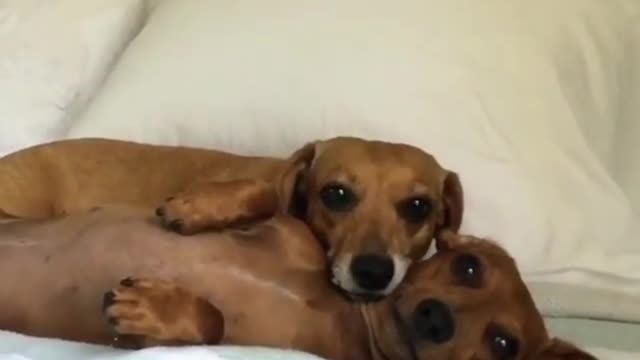 Look at the camera, 321!
