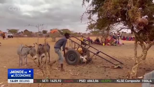 Sécheresse : 22 millions de personnes risquent de mourir de faim