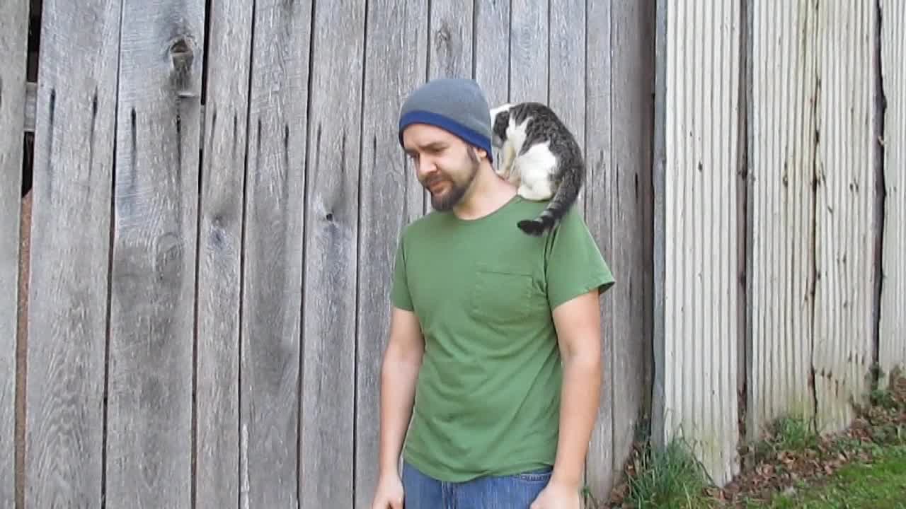 Cat totally photobombs documentary scene