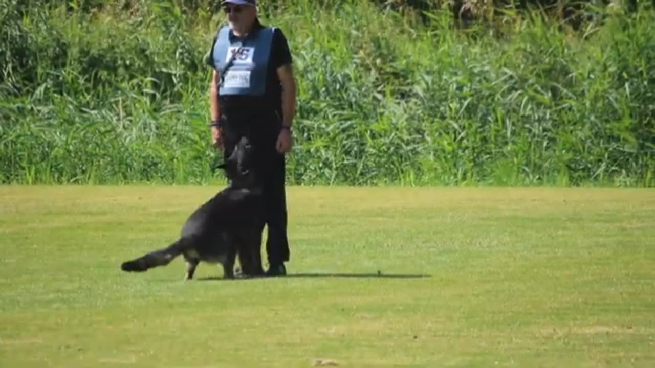 CISF Dog Squad feeding routine.