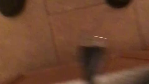 Residential Market Analysis and Highest and Best Use 1