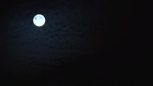 full | moon | raw 4