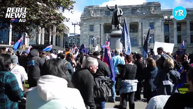 New Zealanders have 'had enough' of Jacinda Ardern's government
