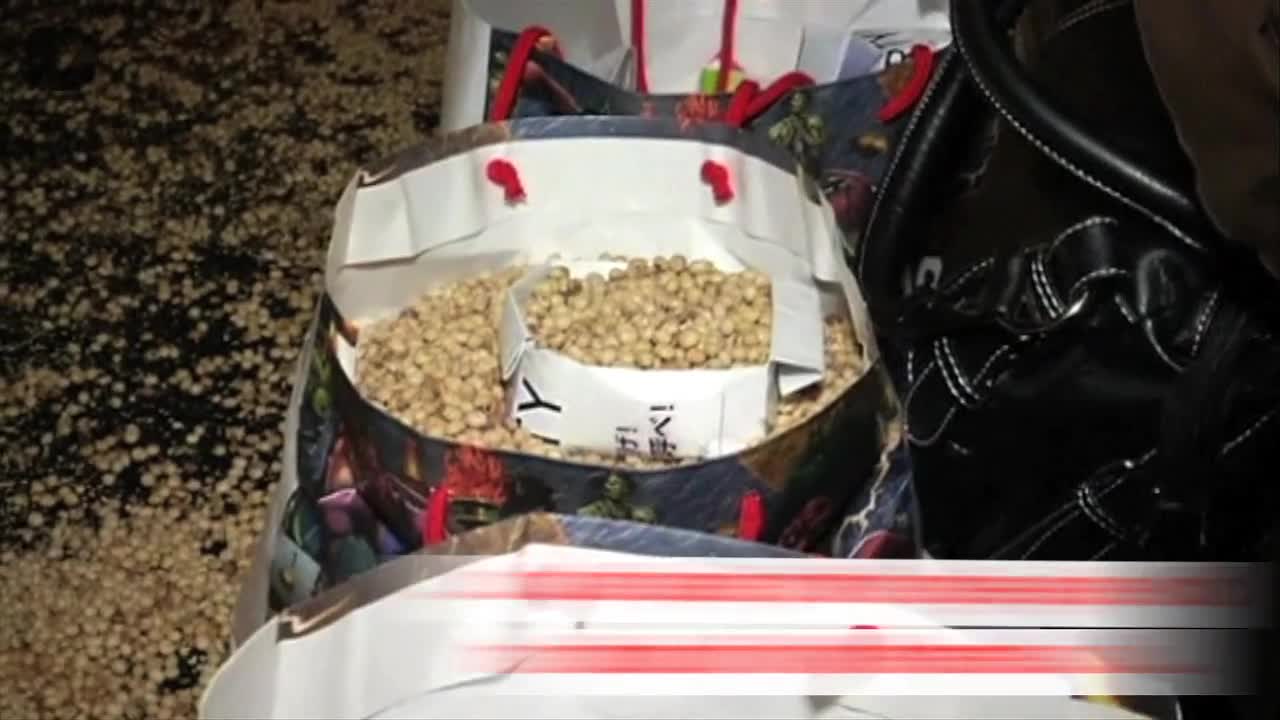 Tokyo Bean Throwing Frenzy