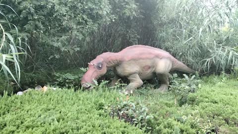 Dinosaur shaking his head, so cute dinosaur